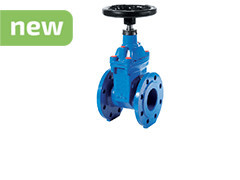 Zasuwy klinowe Brandoni